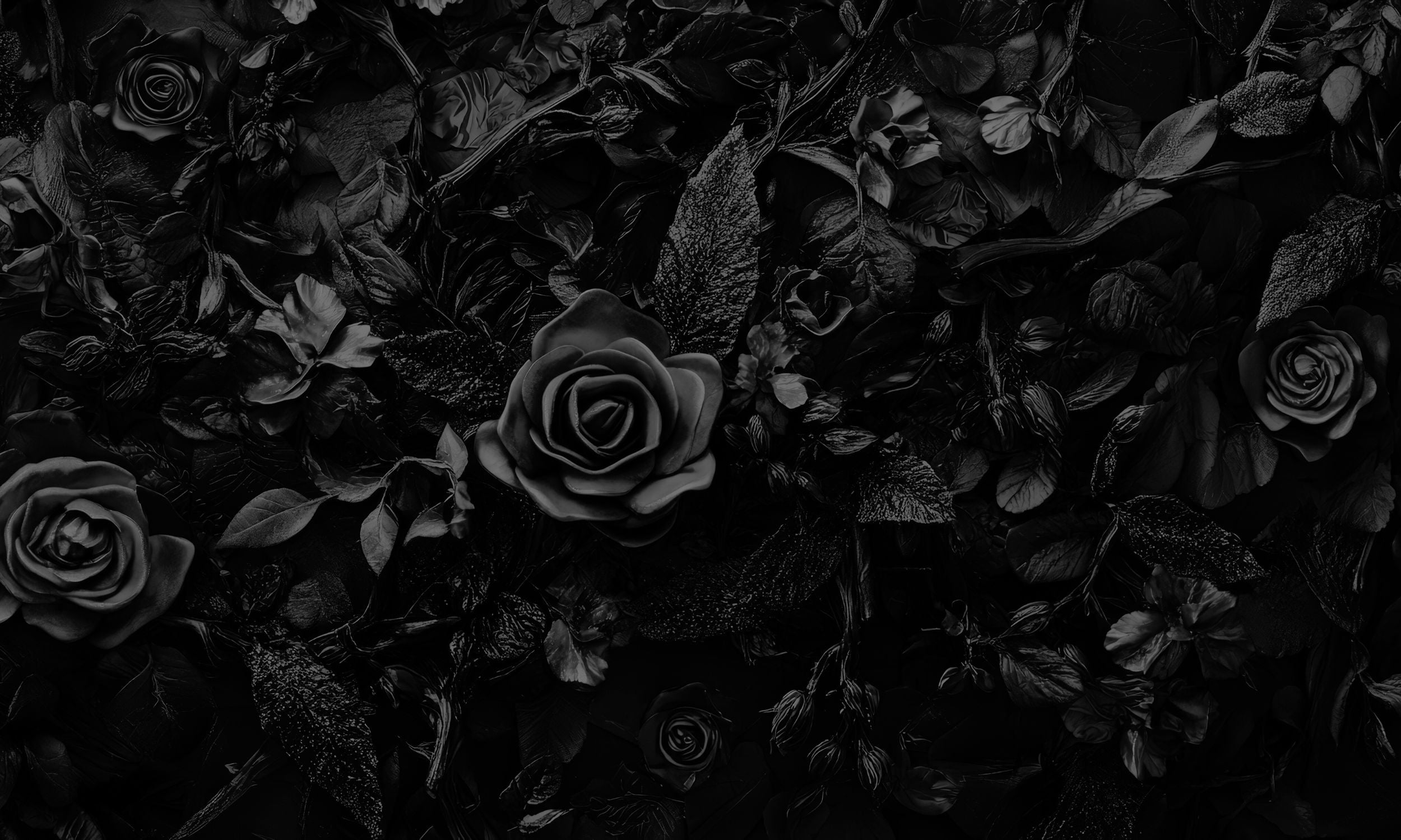 black roses
